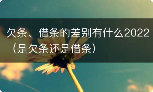 欠条、借条的差别有什么2022（是欠条还是借条）