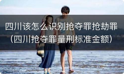 四川该怎么识别抢夺罪抢劫罪（四川抢夺罪量刑标准金额）