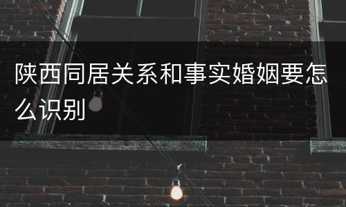 陕西同居关系和事实婚姻要怎么识别