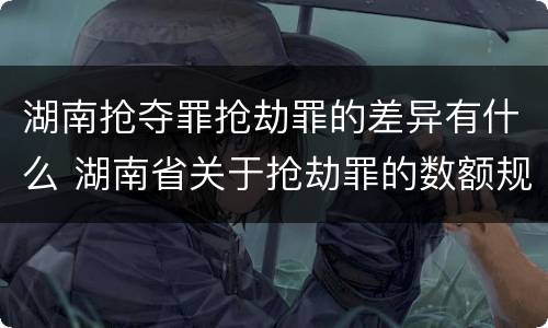 湖南抢夺罪抢劫罪的差异有什么 湖南省关于抢劫罪的数额规定