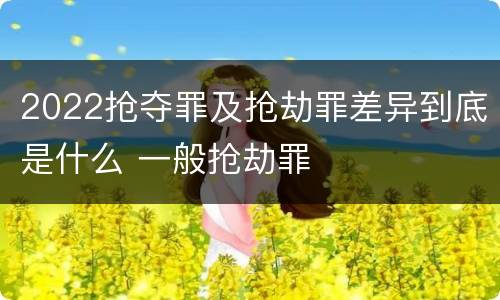 2022抢夺罪及抢劫罪差异到底是什么 一般抢劫罪