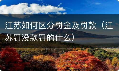江苏如何区分罚金及罚款（江苏罚没款罚的什么）