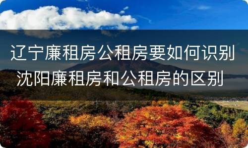 辽宁廉租房公租房要如何识别 沈阳廉租房和公租房的区别