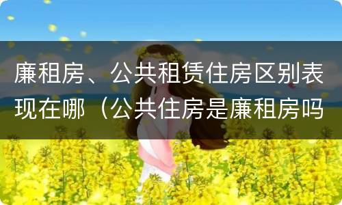 廉租房、公共租赁住房区别表现在哪（公共住房是廉租房吗）