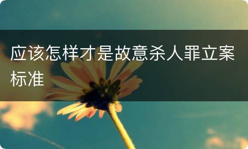 应该怎样才是故意杀人罪立案标准