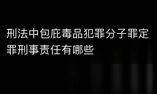 刑法中包庇毒品犯罪分子罪定罪刑事责任有哪些