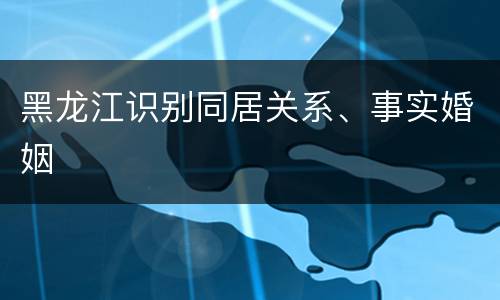 黑龙江识别同居关系、事实婚姻