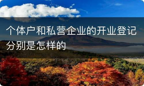 个体户和私营企业的开业登记分别是怎样的