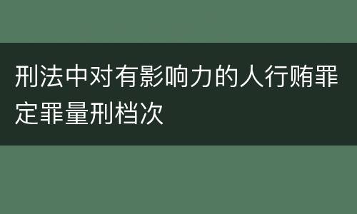 刑法中对有影响力的人行贿罪定罪量刑档次