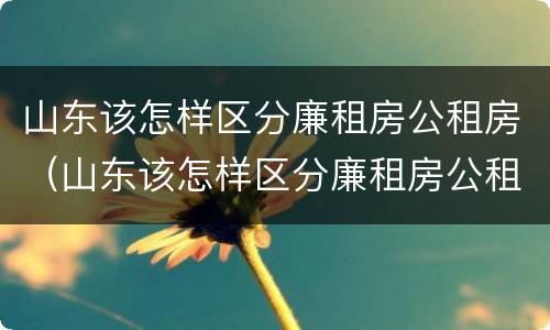 山东该怎样区分廉租房公租房（山东该怎样区分廉租房公租房和商品房）