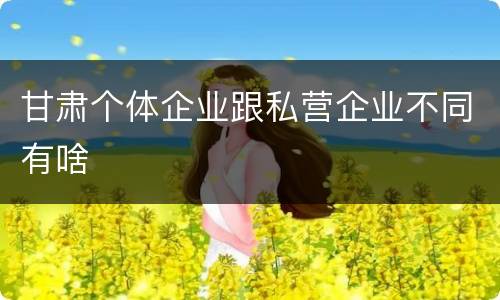 甘肃个体企业跟私营企业不同有啥