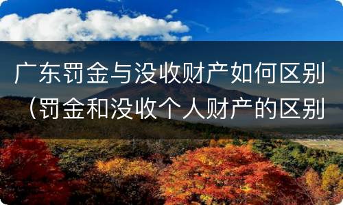 广东罚金与没收财产如何区别（罚金和没收个人财产的区别）