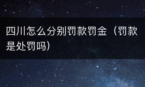 四川怎么分别罚款罚金（罚款是处罚吗）
