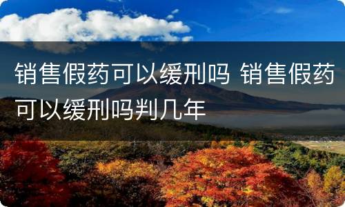 销售假药可以缓刑吗 销售假药可以缓刑吗判几年