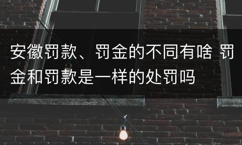 安徽罚款、罚金的不同有啥 罚金和罚款是一样的处罚吗