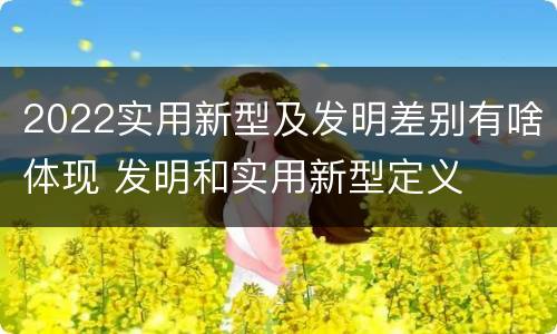 2022实用新型及发明差别有啥体现 发明和实用新型定义