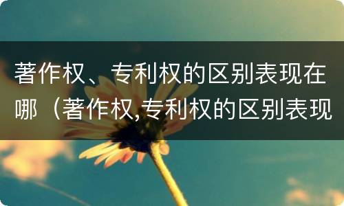 著作权、专利权的区别表现在哪（著作权,专利权的区别表现在哪方面）