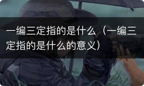 一编三定指的是什么（一编三定指的是什么的意义）