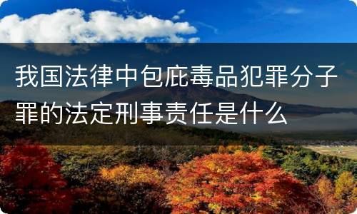 我国法律中包庇毒品犯罪分子罪的法定刑事责任是什么