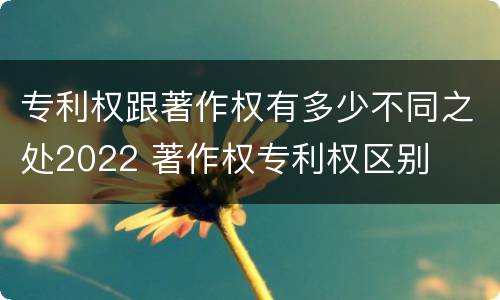 专利权跟著作权有多少不同之处2022 著作权专利权区别