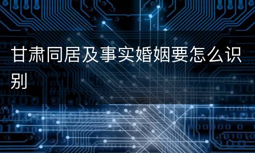 甘肃同居及事实婚姻要怎么识别