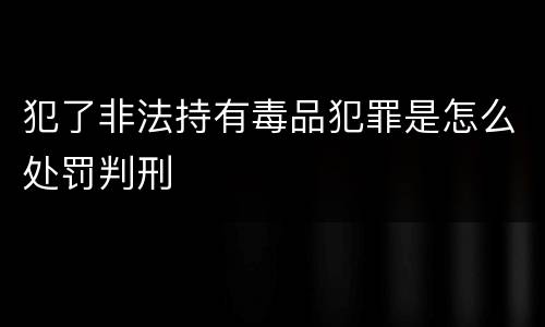 犯了非法持有毒品犯罪是怎么处罚判刑
