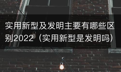 实用新型及发明主要有哪些区别2022（实用新型是发明吗）