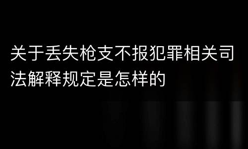关于丢失枪支不报犯罪相关司法解释规定是怎样的