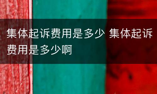 集体起诉费用是多少 集体起诉费用是多少啊