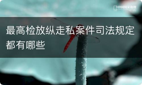 最高检放纵走私案件司法规定都有哪些