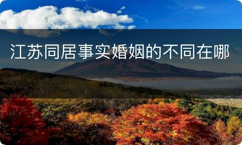 江苏同居事实婚姻的不同在哪