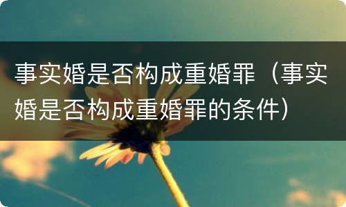 事实婚是否构成重婚罪（事实婚是否构成重婚罪的条件）