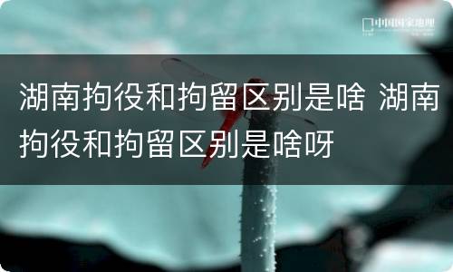 湖南拘役和拘留区别是啥 湖南拘役和拘留区别是啥呀