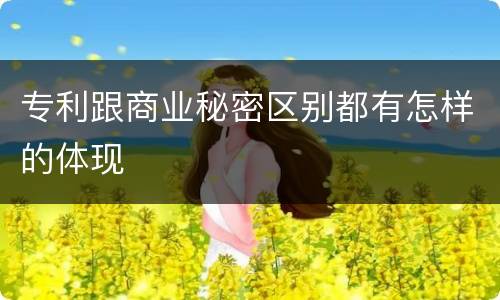 专利跟商业秘密区别都有怎样的体现