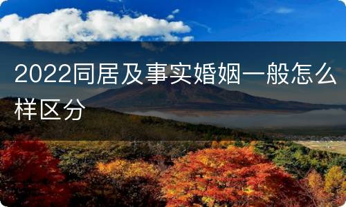 2022同居及事实婚姻一般怎么样区分