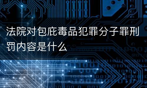 法院对包庇毒品犯罪分子罪刑罚内容是什么