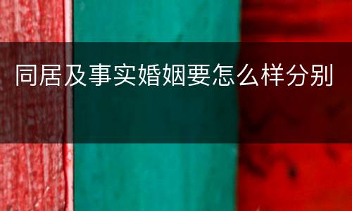 同居及事实婚姻要怎么样分别