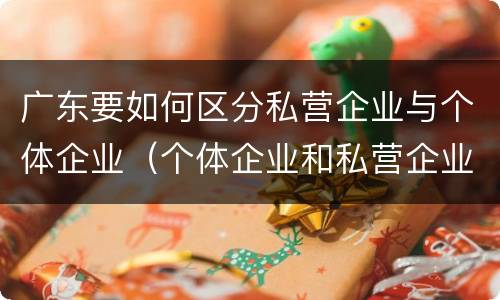 广东要如何区分私营企业与个体企业（个体企业和私营企业的区别）