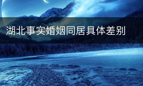 湖北事实婚姻同居具体差别