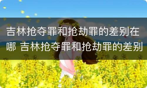 吉林抢夺罪和抢劫罪的差别在哪 吉林抢夺罪和抢劫罪的差别在哪查