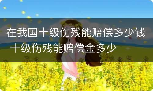 在我国十级伤残能赔偿多少钱 十级伤残能赔偿金多少