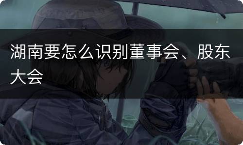 湖南要怎么识别董事会、股东大会