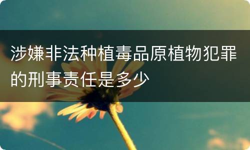 涉嫌非法种植毒品原植物犯罪的刑事责任是多少