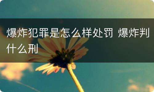 爆炸犯罪是怎么样处罚 爆炸判什么刑