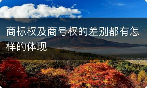 商标权及商号权的差别都有怎样的体现