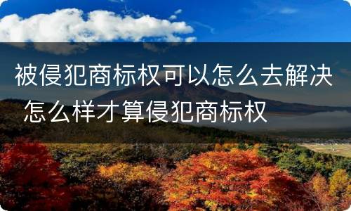 被侵犯商标权可以怎么去解决 怎么样才算侵犯商标权