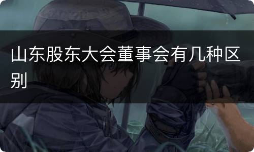 山东股东大会董事会有几种区别
