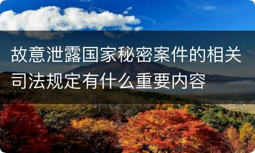故意泄露国家秘密案件的相关司法规定有什么重要内容