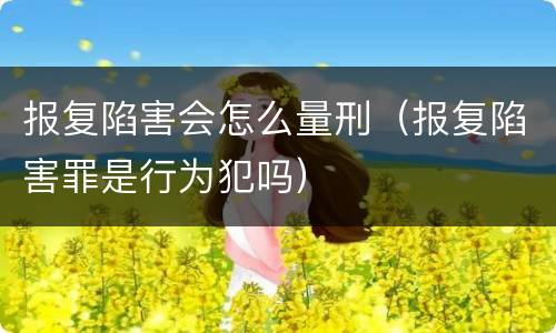 报复陷害会怎么量刑（报复陷害罪是行为犯吗）