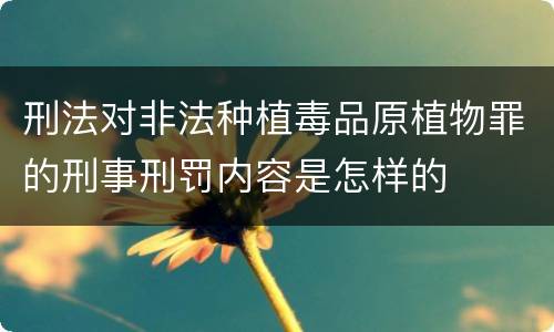 刑法对非法种植毒品原植物罪的刑事刑罚内容是怎样的